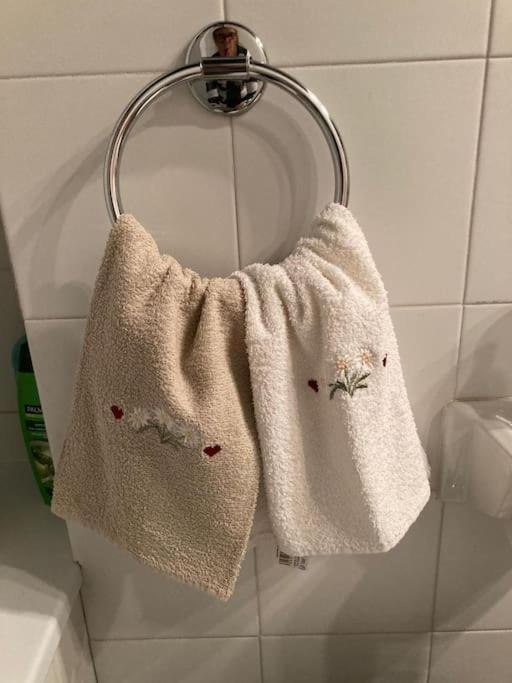 Appartamento Ampio Giardino Adiacente Piste Sci 4/6 Posti Letto La Thuile Luaran gambar